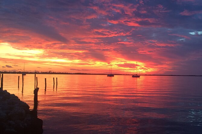 1.5 Hour Bay Side Key Largo Sunset Cruise on a Spacious Catamaran - Dolphins, birds, and the natural side of the ride