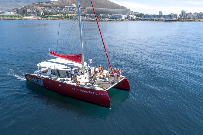 1- Hour Catamaran Cruise Cape Town - The views that make the hour worthwhile