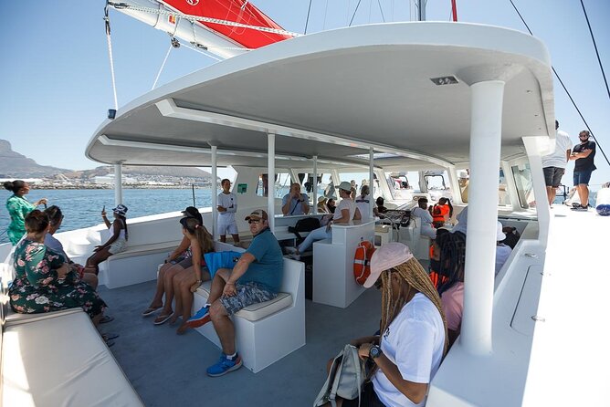 1- Hour Catamaran Cruise Cape Town - A good value at about $18.98