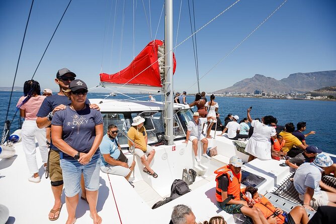 1- Hour Catamaran Cruise Cape Town - What the crew and onboard setup add