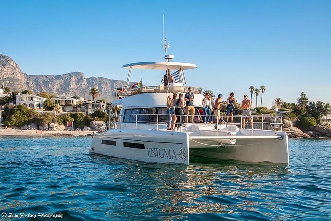 1 Hour Coastal Catamaran Cruise from Cape Town - Wildlife is possible, but never the promise