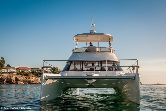 1 Hour Coastal Catamaran Cruise from Cape Town - Returning with the city ahead