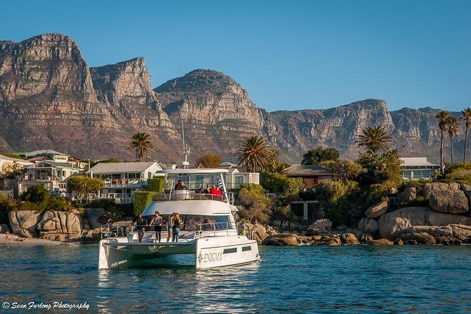 1 Hour Coastal Catamaran Cruise from Cape Town - Timing, comfort, and what to bring