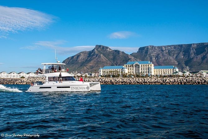 1 Hour Coastal Catamaran Cruise from Cape Town - Who will enjoy this Cape Town cruise most