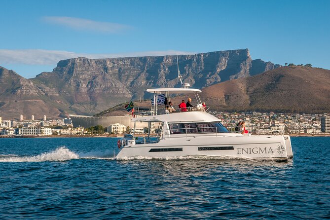1 Hour Coastal Catamaran Cruise from Cape Town - The run toward Green Point lighthouse