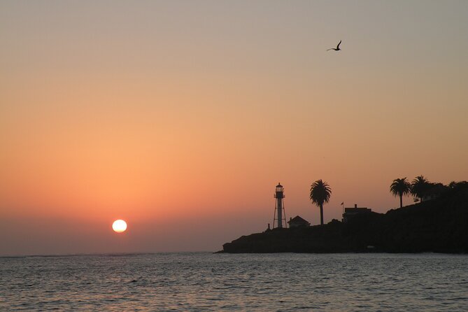 2.5-Hour Small-Group Catamaran Sunset Sail with Drinks - Sea lions, seabirds, and the chance of dolphins