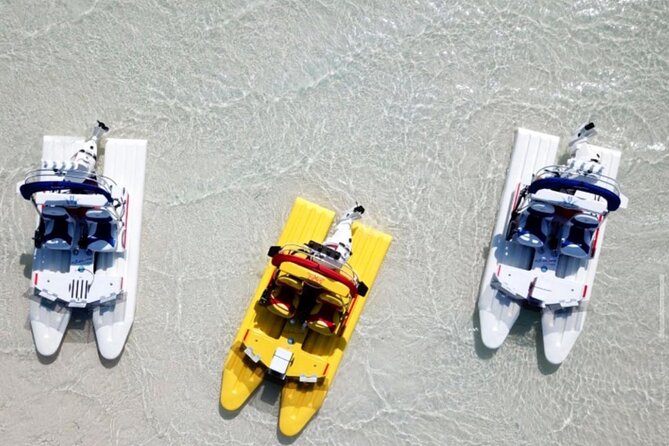 2 Hour Key West Mini Catamaran Eco Tour - Key points to know before booking