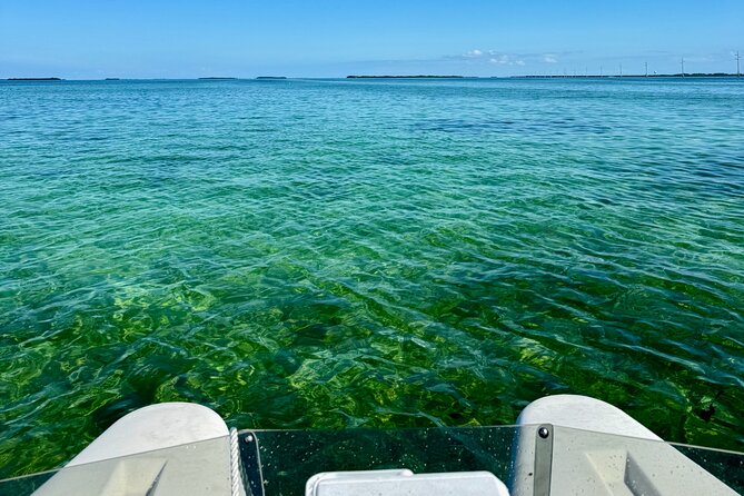 2 Hour Key West Mini Catamaran Eco Tour - Wildlife encounters: possible, not promised