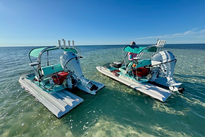 2 Hour Key West Mini Catamaran Eco Tour - Weather, comfort, and the practical details