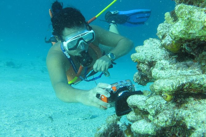 3 ADVENTURES: Sailing Catamaran Cruise - Hooka Diving - Snorkeling - Is $105 a fair price?