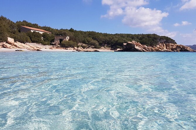 3-Catamaran from Cannigione to the islands of the Archipelago - Razzoli and Santa Maria in the national park