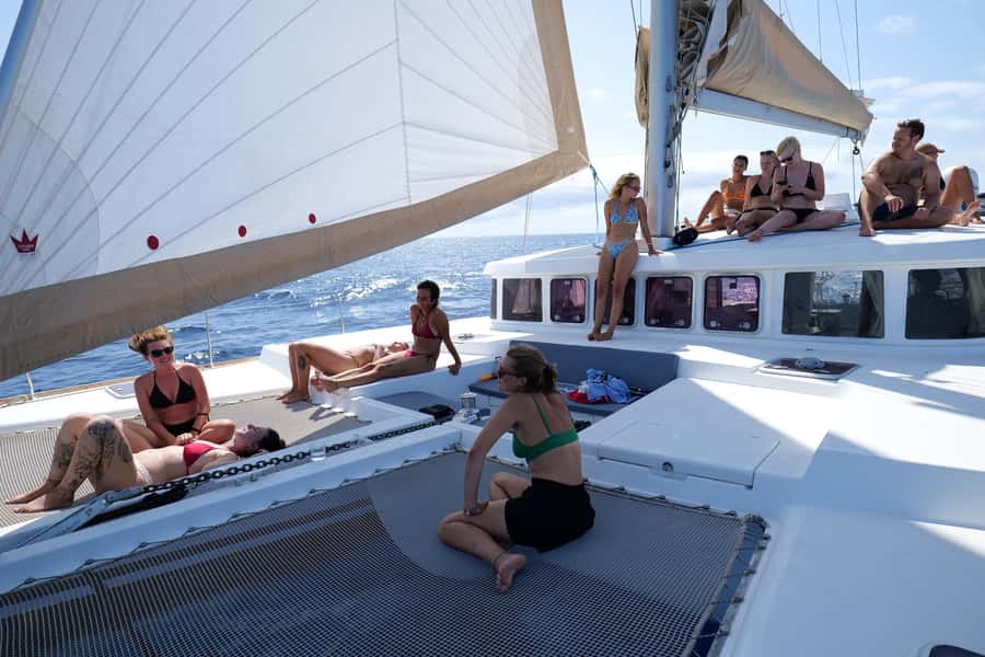 3-hour Catamaran Adventure on the waters of Sal Island - Wildlife sightings are a lucky bonus