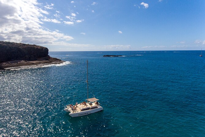3-hour catamaran excursion along the Costa Adeje - Looking for whales and turtles off Tenerife