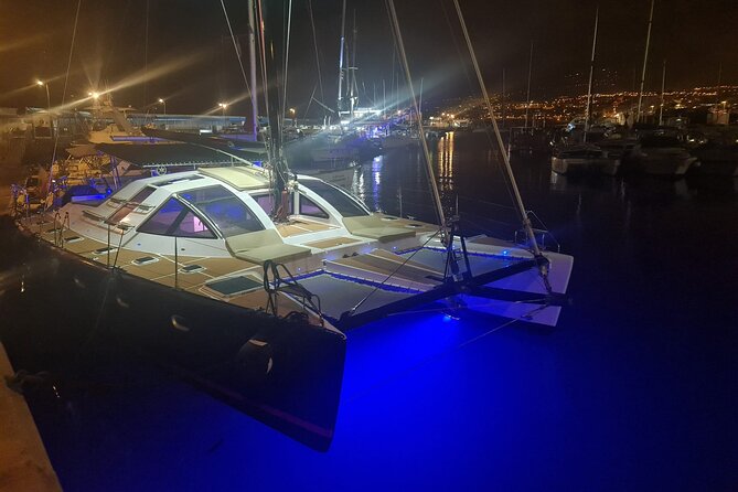 3 hrs. Whale Watching and Relaxing Chill Out Catamaran with glass floor - The return along Tenerife’s west coast