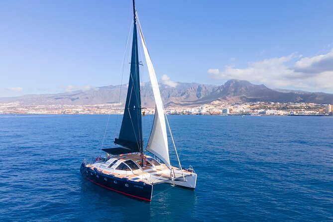 3 hrs. Whale Watching and Relaxing Chill Out Catamaran with glass floor - Practical details that affect your choice