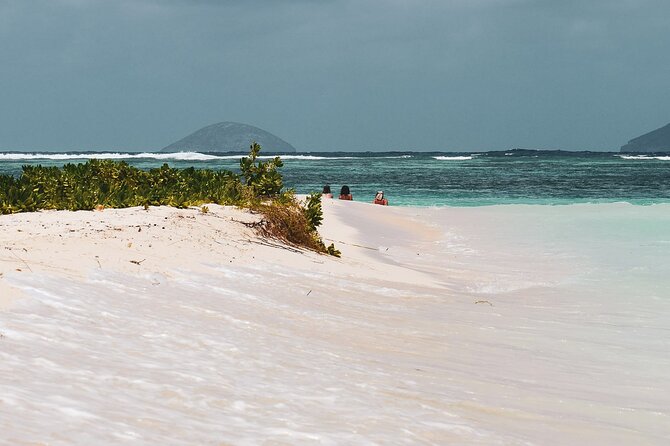 3 North Islands Catamaran Cruise with Lunch & Drinks on island. - Is $58.08 good value?