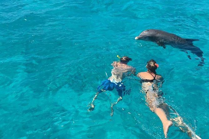 4-Hour Catamaran Sail and Snorkel Tour from Grace Bay - What the $145.84 price really covers