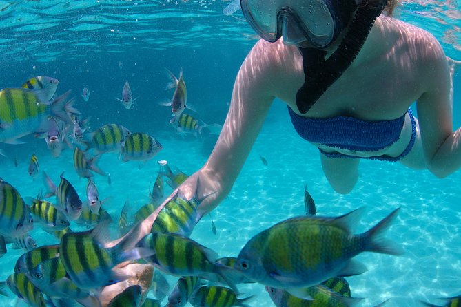 4-Hour Catamaran Sail and Snorkel Tour from Grace Bay - Who will enjoy this tour most