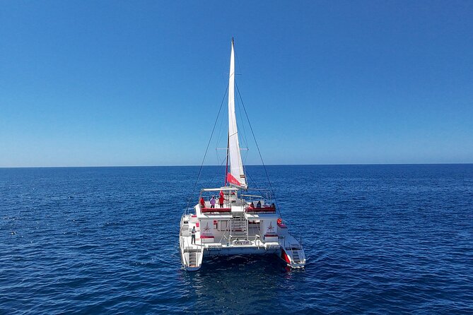 4-Hour Trip on Luxurious Catamaran from Puerto Rico - A crew that shapes the day
