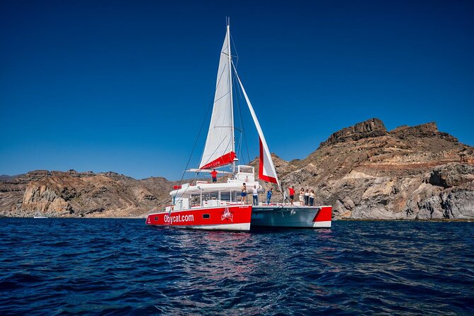 4-Hour Trip on Luxurious Catamaran from Puerto Rico - Paella, mojo potatoes, and drinks on board