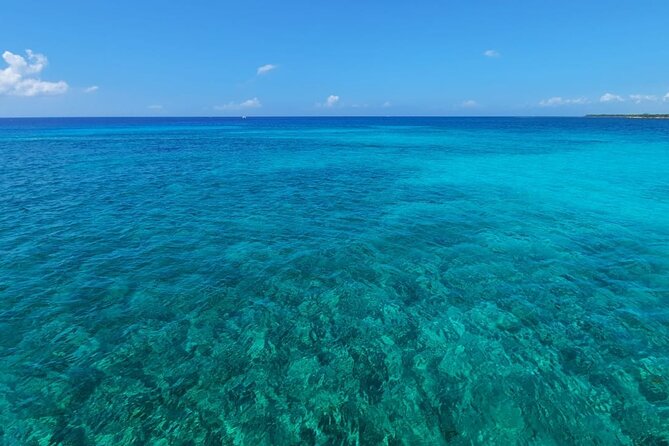 4H Luxury 44' Catamaran All-Inclusive in Tulum & Playa del Carmen - Ceviche, snacks, and the onboard kitchen