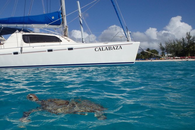 5-Hour Small-Group Catamaran Cruise from Bridgetown with Lunch - Starting early at Bridgetown