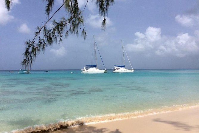 5-Hour Small-Group Catamaran Cruise from Bridgetown with Lunch - Snorkeling with Barbados sea turtles