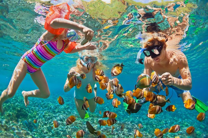 50' Luxury Yacht. Private Full or Half Day Catamaran Snorkel, & Beach Experience - How the captain shapes your day