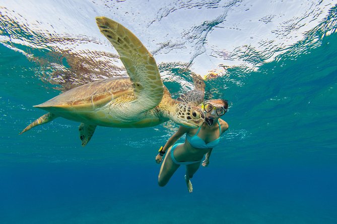 50' Luxury Yacht. Private Full or Half Day Catamaran Snorkel, & Beach Experience - Snorkeling at Secret Harbour and Brewers Bay