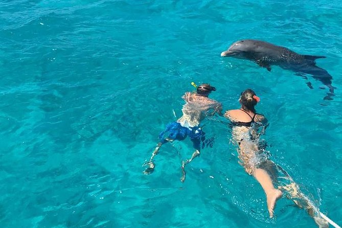 7 Hour Private Catamaran Sail, Snorkel and Beach BBQ Grace Bay, Providenciales - Snorkeling the reef off Grace Bay