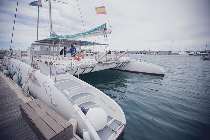 A day at Sea aboard Mundo Marino Catamaran in Valencia - Should You Book Mundo Marino?