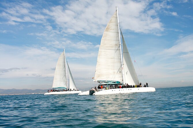 A day at sea from Dénia or Jávea with Barbecue aboard the Catamaran - Cala de Portixol gives the day a clear center
