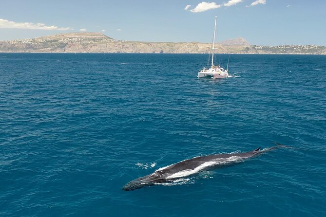 A day at sea from Dénia or Jávea with Barbecue aboard the Catamaran - My verdict on the Dénia and Jávea catamaran trip