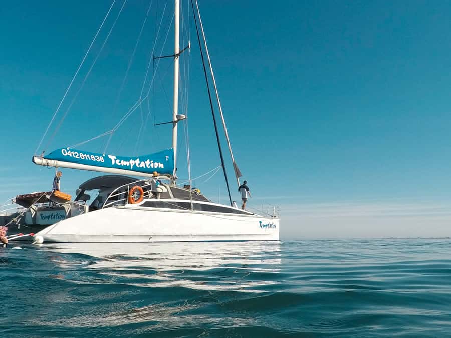 Adelaide: Glenelg Twilight Catamaran Cruise with Drink - The first stretch along the Adelaide coast