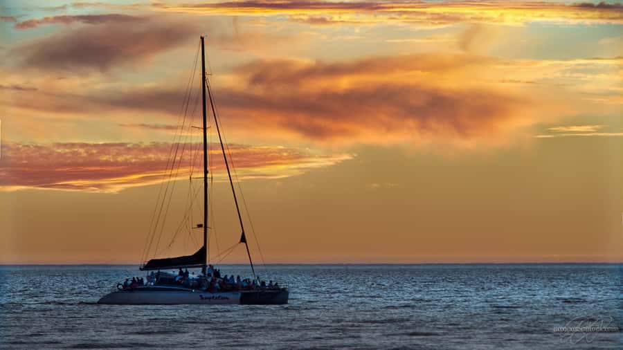 Adelaide: Glenelg Twilight Catamaran Cruise with Drink - Should you book it?
