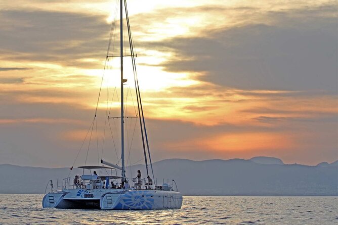 Adult Only Sunset Catamaran Palma bay - Key points to know before booking