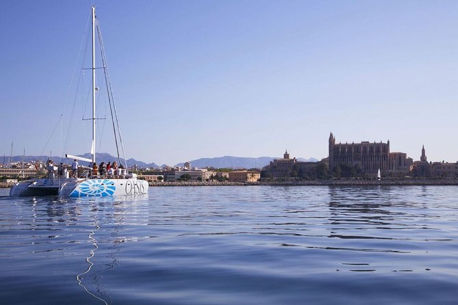 Adult Only Sunset Catamaran Palma bay - Four hours from Palma harbor to La Cueva Verde