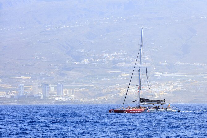 Adults Only Tenerife Freebird Whale Dolphin Catamaran with Lunch - The crew and the welcome at the marina