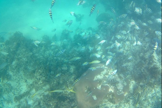 ADVENTURE PACKAGE: Buggy OffRoad Experience & Catamaran Cruise with Snorkeling - The buggy reliability issue deserves attention