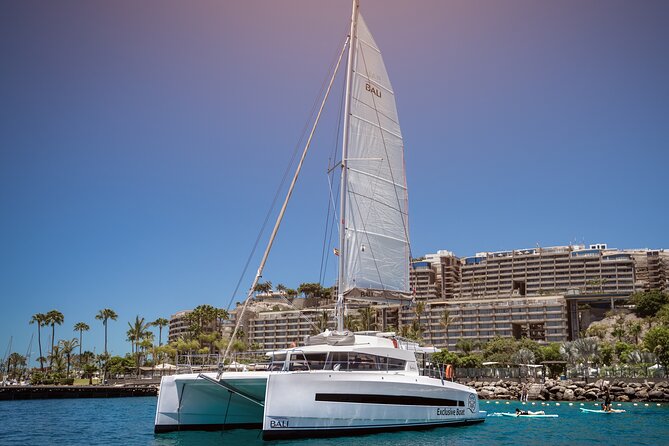 Afternoon Catamaran Trip in Gran Canaria - Key points to know before booking