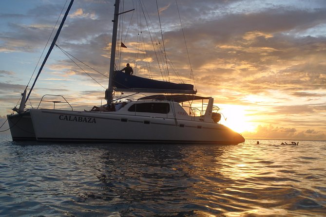 Afternoon Luxury Catamaran Sailing and Charter Cruise from Bridgetown - At a glance: what makes this cruise worthwhile