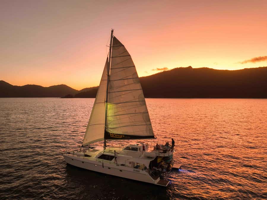 Airlie Beach: BYOB Sunset Sail in Style Catamaran Cruise - Key points to know before booking