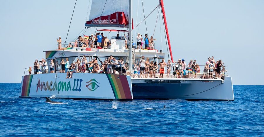 Alcudia: Sunset Catamaran Tour with Dinner and Snorkeling - Setting sail from Port d’Alcudia