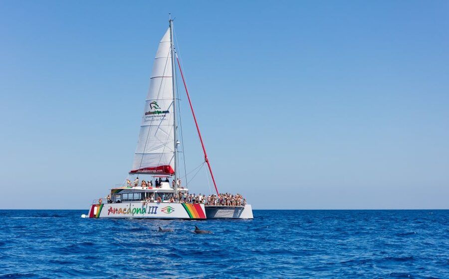 Alcudia: Sunset Catamaran Tour with Dinner and Snorkeling - The quiet cove and its long water stop