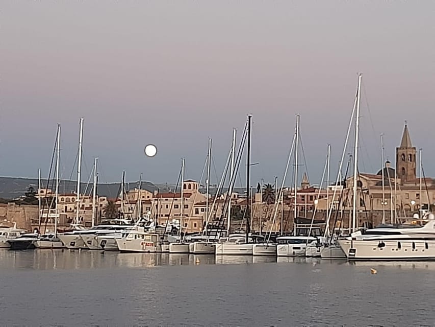 Alghero catamaran sunset tour Alghero - Swimming at La Maddalenetta island