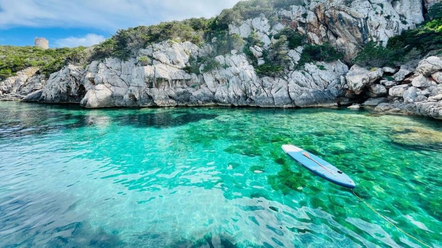 Alghero: Full day on a catamaran in Porto Conte Natural Park - Booking details worth knowing