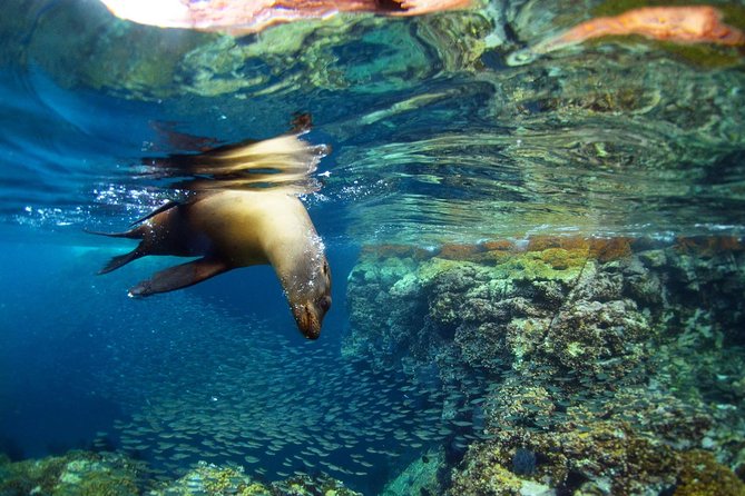 All-Inclusive catamaran Espiritu Santo Island Tour from Los Cabos - Breakfast, open bar, and the first hours onboard