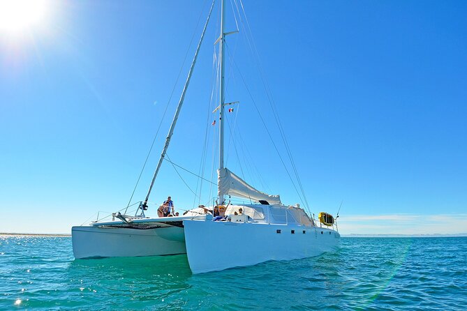 All-Inclusive catamaran Espiritu Santo Island Tour from Los Cabos - Snorkeling and wildlife in the Sea of Cortez