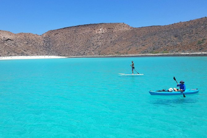 All-Inclusive Catamaran Tour | Beaches & Sea Lions from Los Cabos - Choosing your own beach day