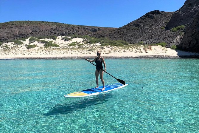 All-Inclusive Catamaran Tour | Beaches & Sea Lions from Los Cabos - Sea lions and the smaller support boat